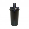 Bobine allumage 4.2L - Jeep CJ8 (81-86)