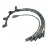 SPARK PLUG AND COIL WIRES - STANDARD