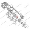 CRANKSHAFT GEAR