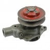 WATER PUMP WITH PLUGS - 17MM