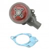 WATER PUMP WITH PLUGS - 17MM