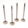 EXHAUST VALVES