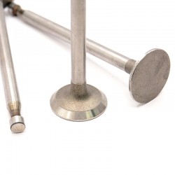 EXHAUST VALVES