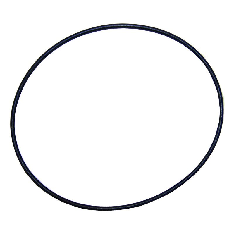 Axle Housing O-Ring 52114079AA