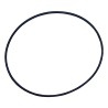 Axle Housing O-Ring 52114079AA