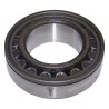 Axle Shaft Bearing J0994913