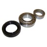 Kit de roulement d'arbre d'essieu 53000475K