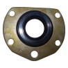 Axle Shaft Seal J4485691