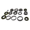 Differential Overhaul Kit D30EMASKIT