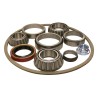 Differential Overhaul Kit AM20BK