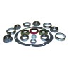 Differential Overhaul Kit D35MASKIT