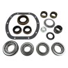 Differential Overhaul Kit D30JKMASKIT