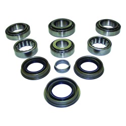 Differential Overhaul Kit C825MASKIT