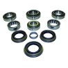 Differential Overhaul Kit C825MASKIT
