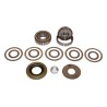 Pinion Bearing Kit D30EPBK