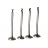 INTAKE VALVES