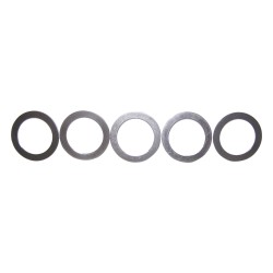 Pinion Shim Set 4856371