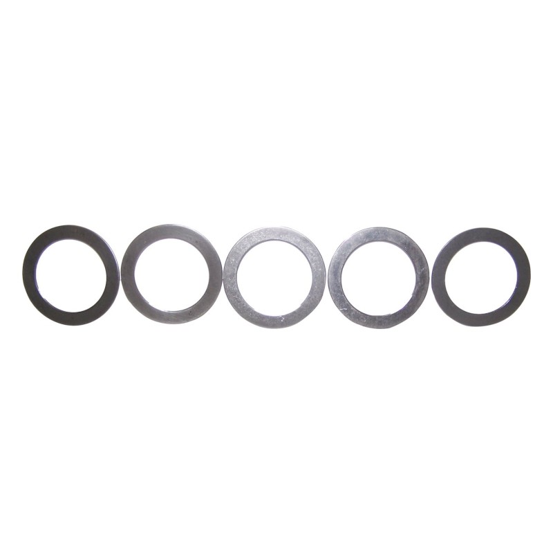 Pinion Shim Set 4856371