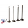 EXHAUST VALVES