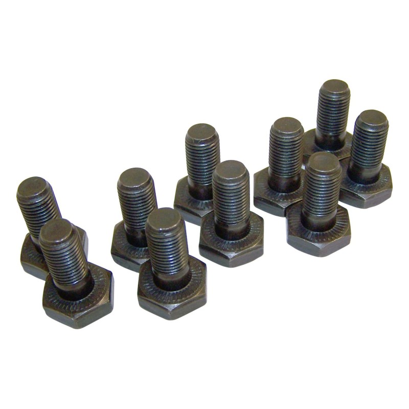Ring Gear Bolt Kit 4720891