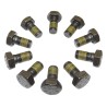Ring Gear Bolt Kit 68035573AA