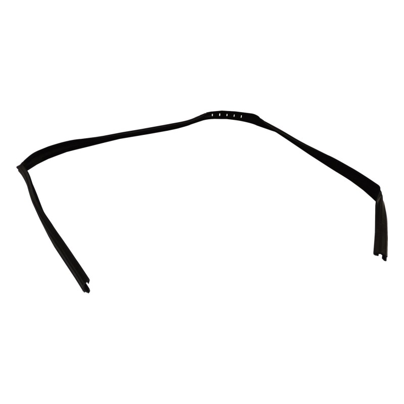 Door Glass Seal 55395174AA