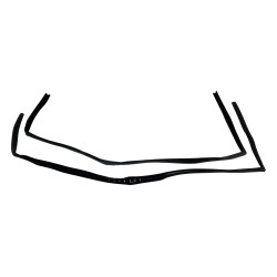 Door Glass Seal Kit 55395174K