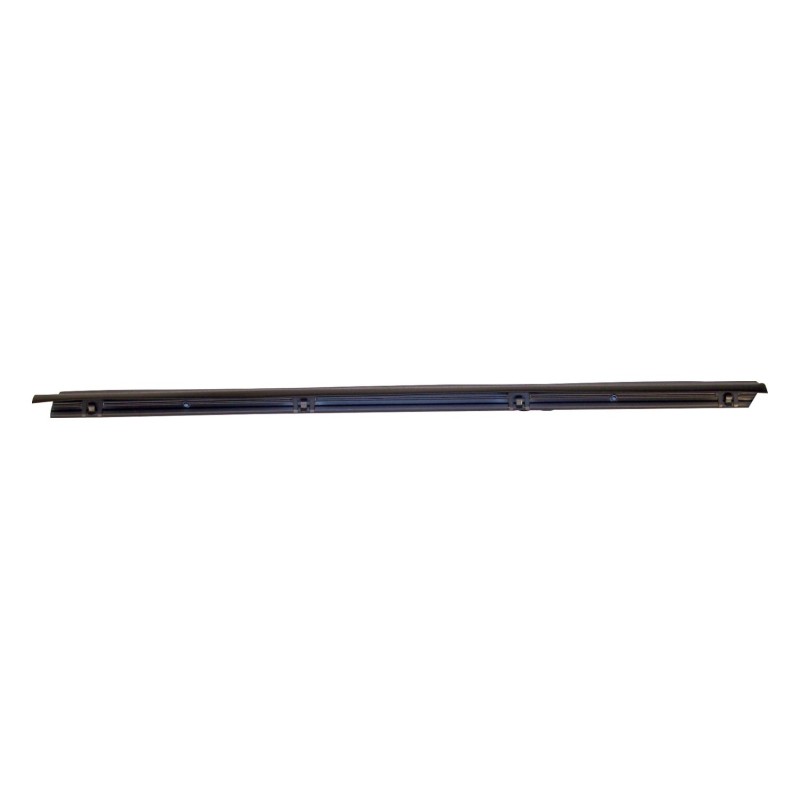 Door Glass Weatherstrip 55024255