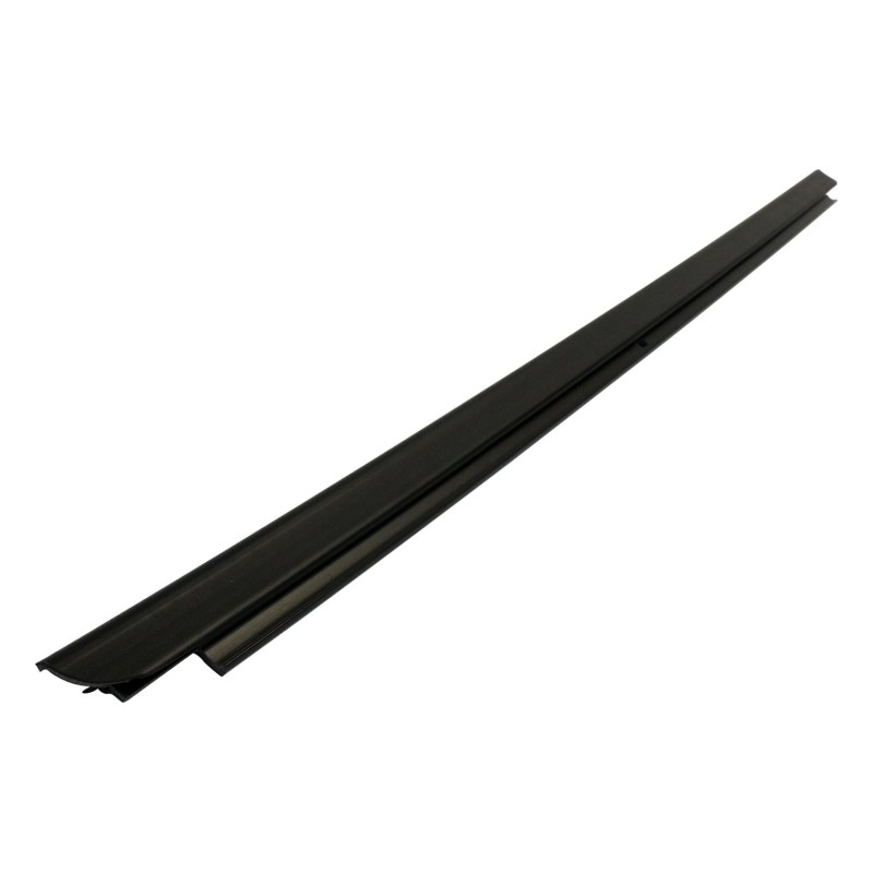 Door Glass Weatherstrip 55395268AD