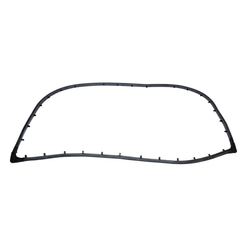 Liftgate Weatherstrip J5454184