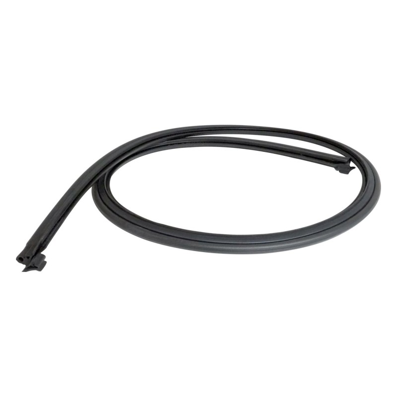 Liftgate Weatherstrip 55175041AH