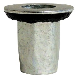 Noix 6509106AA