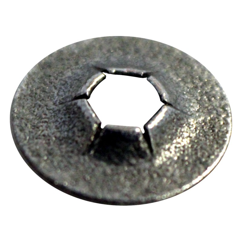 Noix J4006866