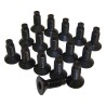 Windshield Frame Screw Kit 6035757K