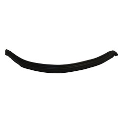 Windshield Frame Weatherstrip 55395101AB