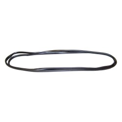 Windshield Weatherstrip 55176430AD