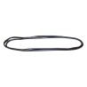 Windshield Weatherstrip 55176430AD