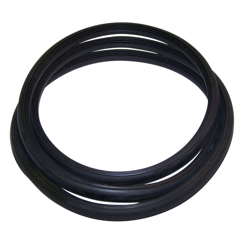 Windshield Weatherstrip J5453949