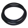 Windshield Weatherstrip J5453949