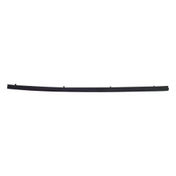 Coupe-froid en verre de porte J5762385