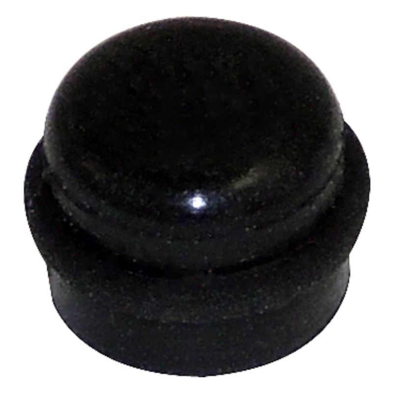 Bleeder Screw Cap 5093278AB