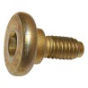 Brake Caliper Screw J3223416