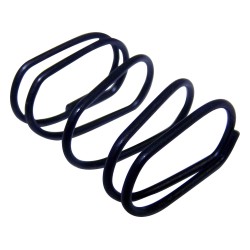 Parking Brake Strut Spring 4313079