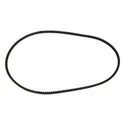 Accessory Drive Belt 53000825