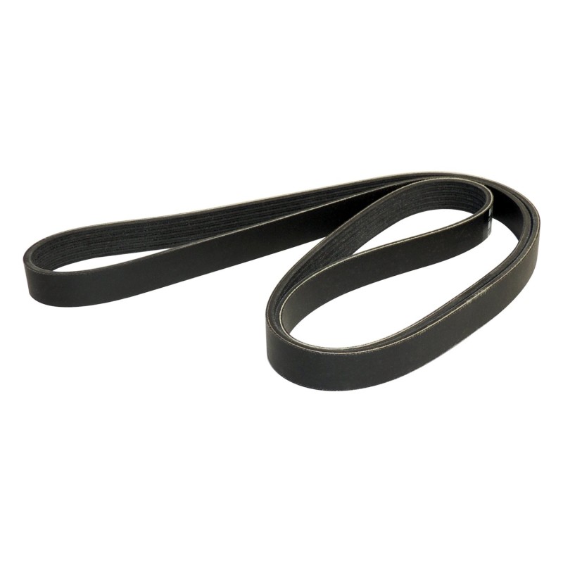 Courroie d'entraînement accessoire 5281374AA