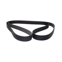 Courroie d'entraînement accessoire 53010283