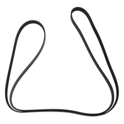 Courroie d'entraînement accessoire 4627534AA