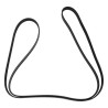 Accessory Drive Belt 4627534AA