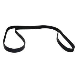 Accessory Drive Belt 5037542AA