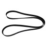 Accessory Drive Belt 5184646AC